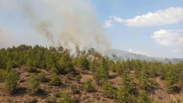 Πυρκαγιά σε αγροτοδασική περιοχή στον δήμο Παιονίας