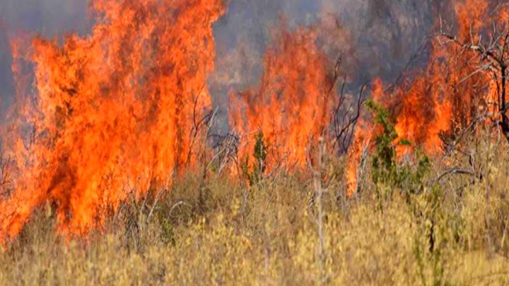 Ρόδος: Υπό έλεγχο η πυρκαγιά στην περιοχή Θολού - Αχαΐα: Σε εξέλιξη η φωτιά στην περιοχή Ζήρεια