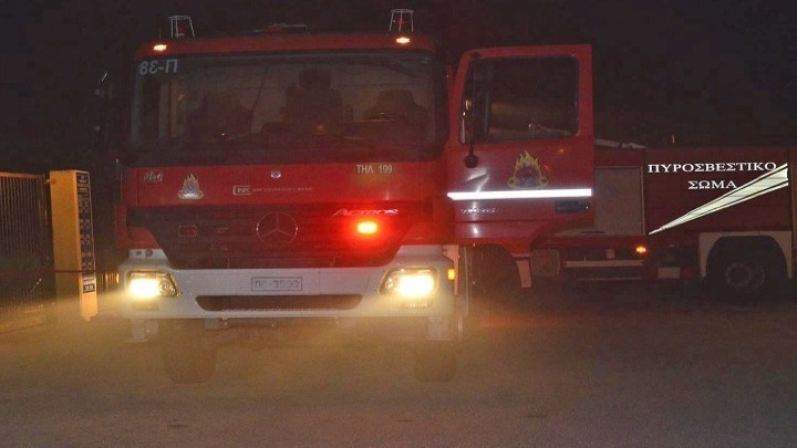 Έβαλε φωτιά σε κλεμμένο φορτηγό και κινδύνευσε δασύλλιο στην Ευκαρπία
