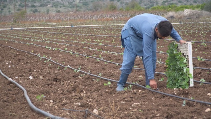Νέα Μανωλάδα: Απελευθερώθηκαν οκτώ αλλοδαποί οι οποίοι είχαν πέσει θύματα εμπορίας ανθρώπων
